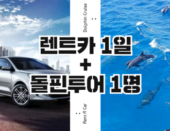리오(기본1일) + 돌핀투어